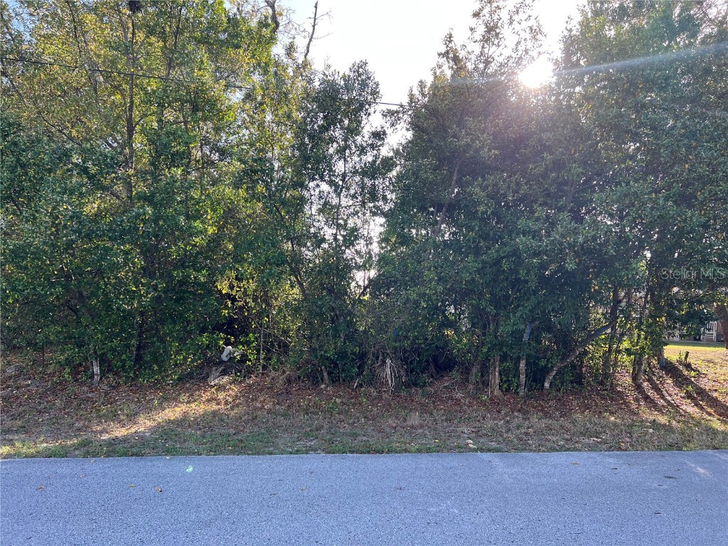 3487 Orion Road Spring Hill FL 34606 T3359710 image1