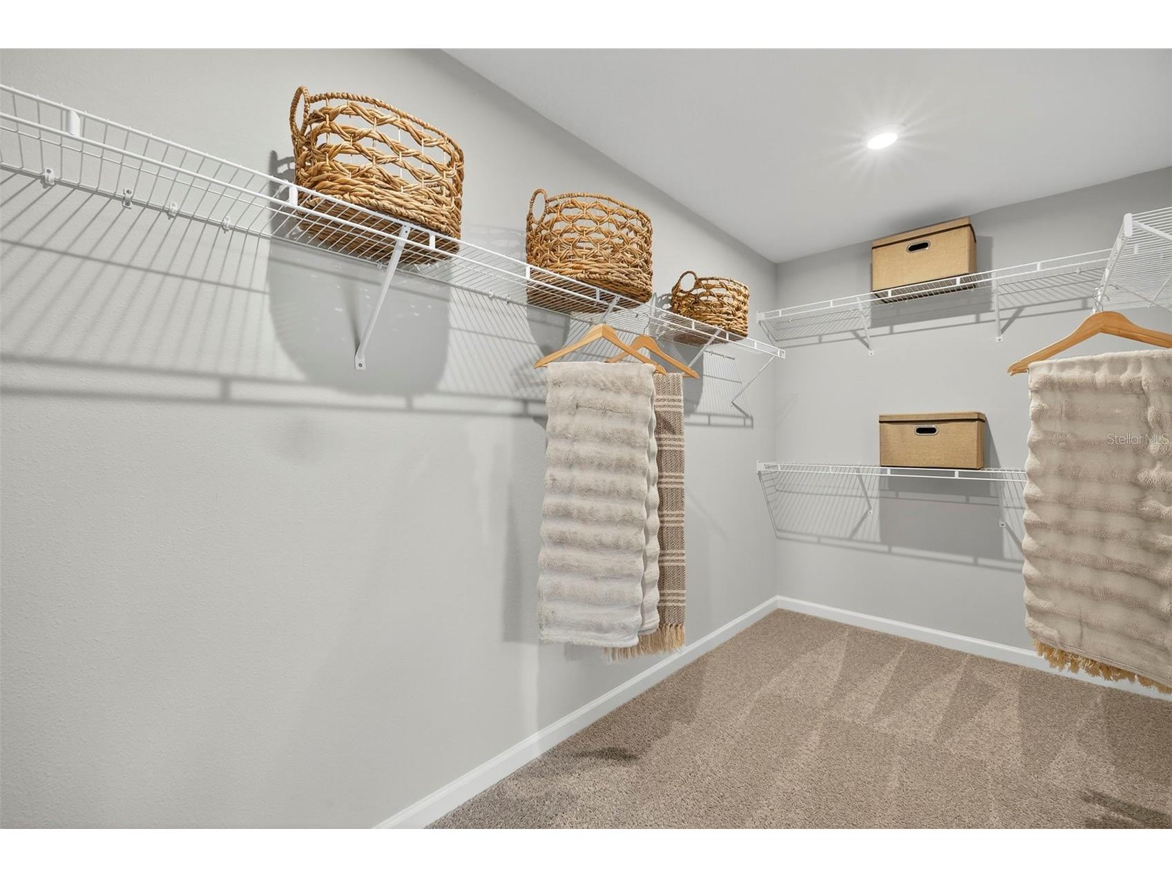 34877 Arbor Retreat Drive Dade City FL 33525 TB8512617 image19