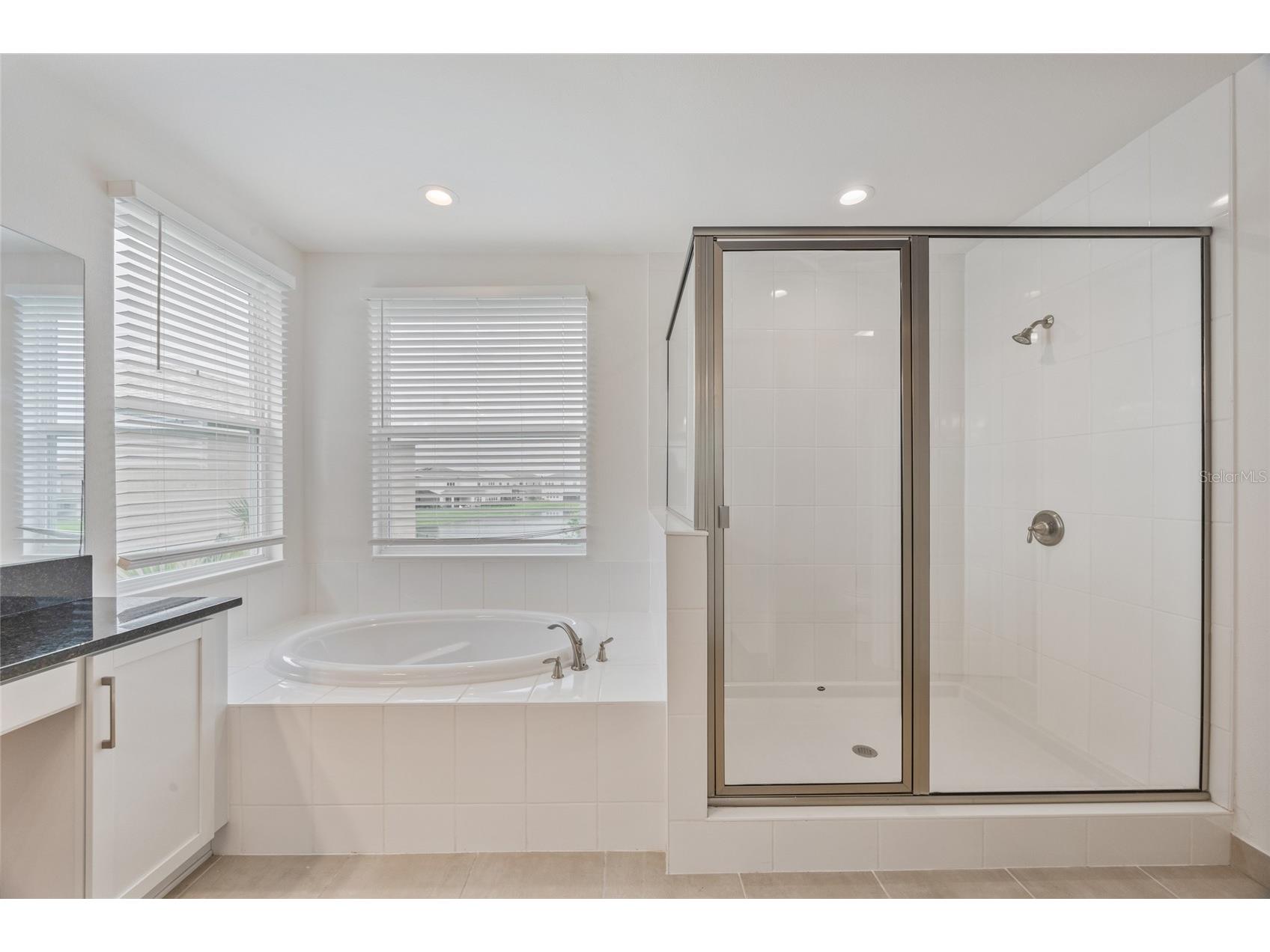 3488 Great Banyan Way Wesley Chapel FL 33543 TB8516364 image24