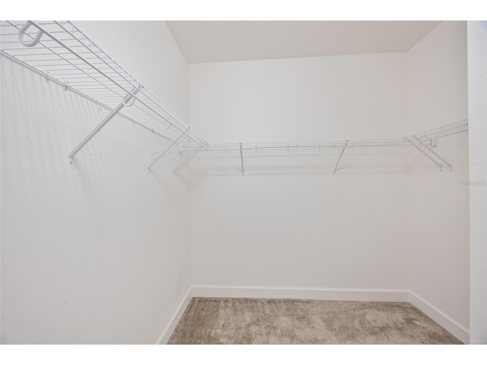 3488 Great Banyan Way Wesley Chapel FL 33543 TB8516364 image25