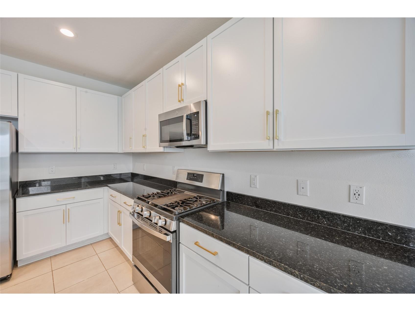 3488 Great Banyan Way Wesley Chapel FL 33543 TB8516364 image9