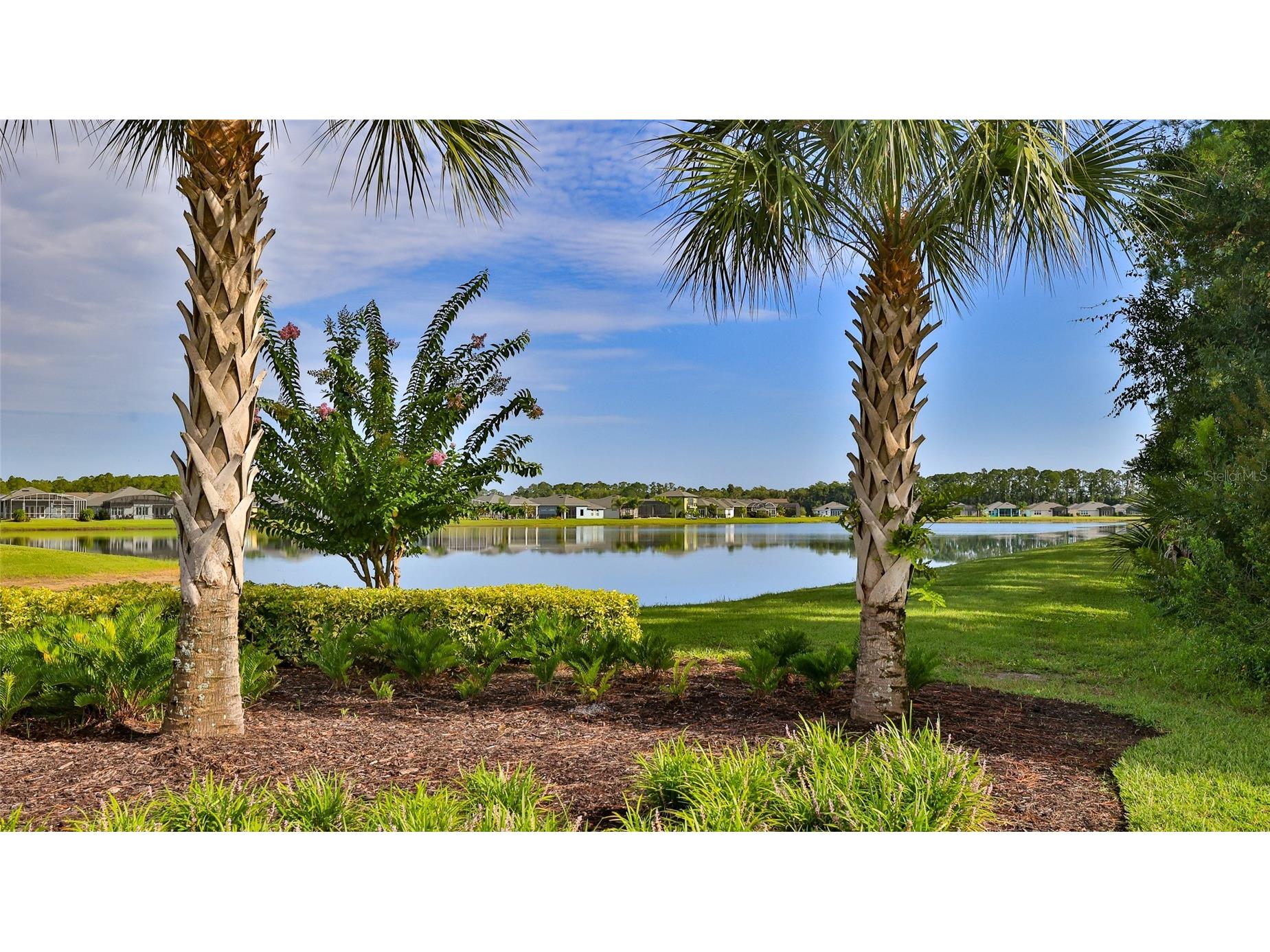 349 Caryota Court New Smyrna Beach FL 32168 NS1085211 image21