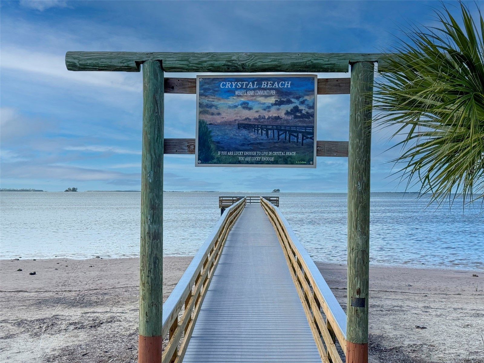 349 Kentucky Avenue Crystal Beach FL 34681 TB8469942 image50