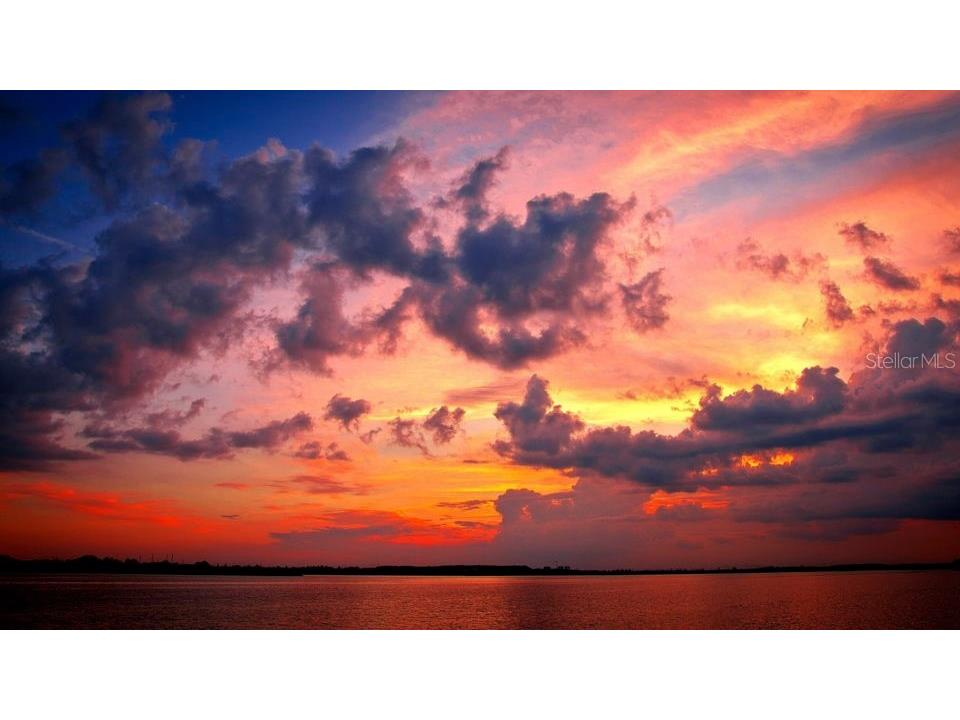 349 Kentucky Avenue Crystal Beach FL 34681 TB8469942 image52