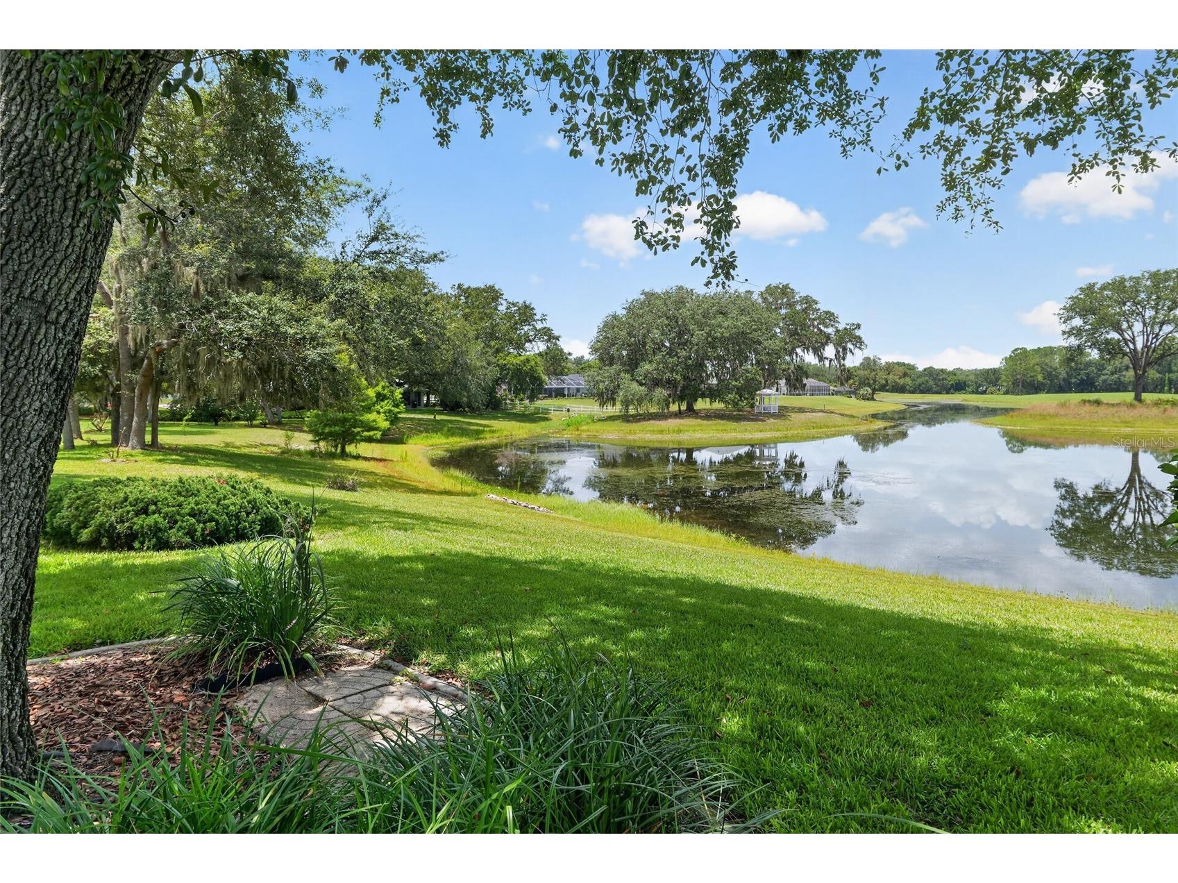 349 Lake Drive Ocala FL 34472 OM728269 image71