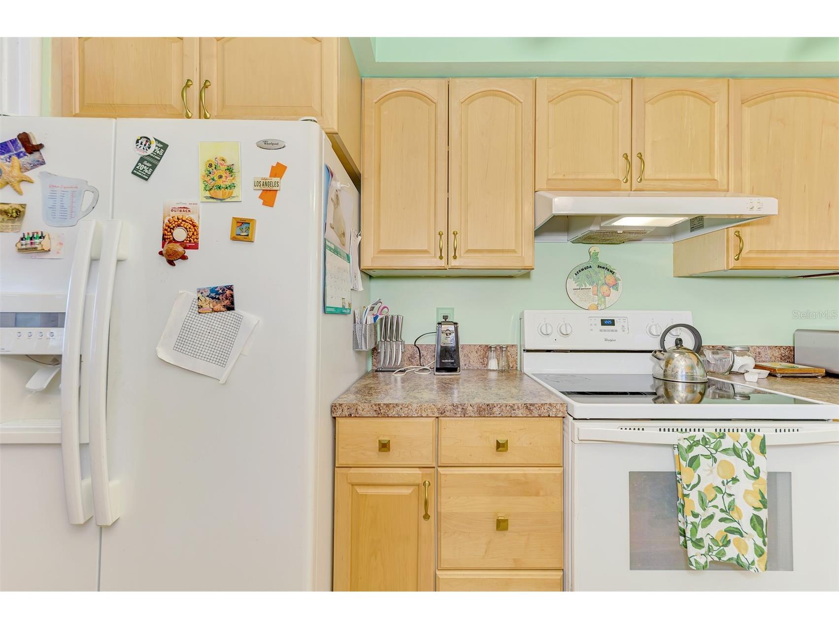 349 Longwood Drive Venice FL 34285 N6143565 image15