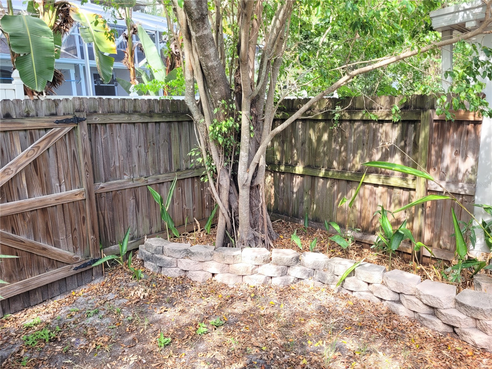 349 Plymouth Street Safety Harbor FL 34695 TB8507199 image23