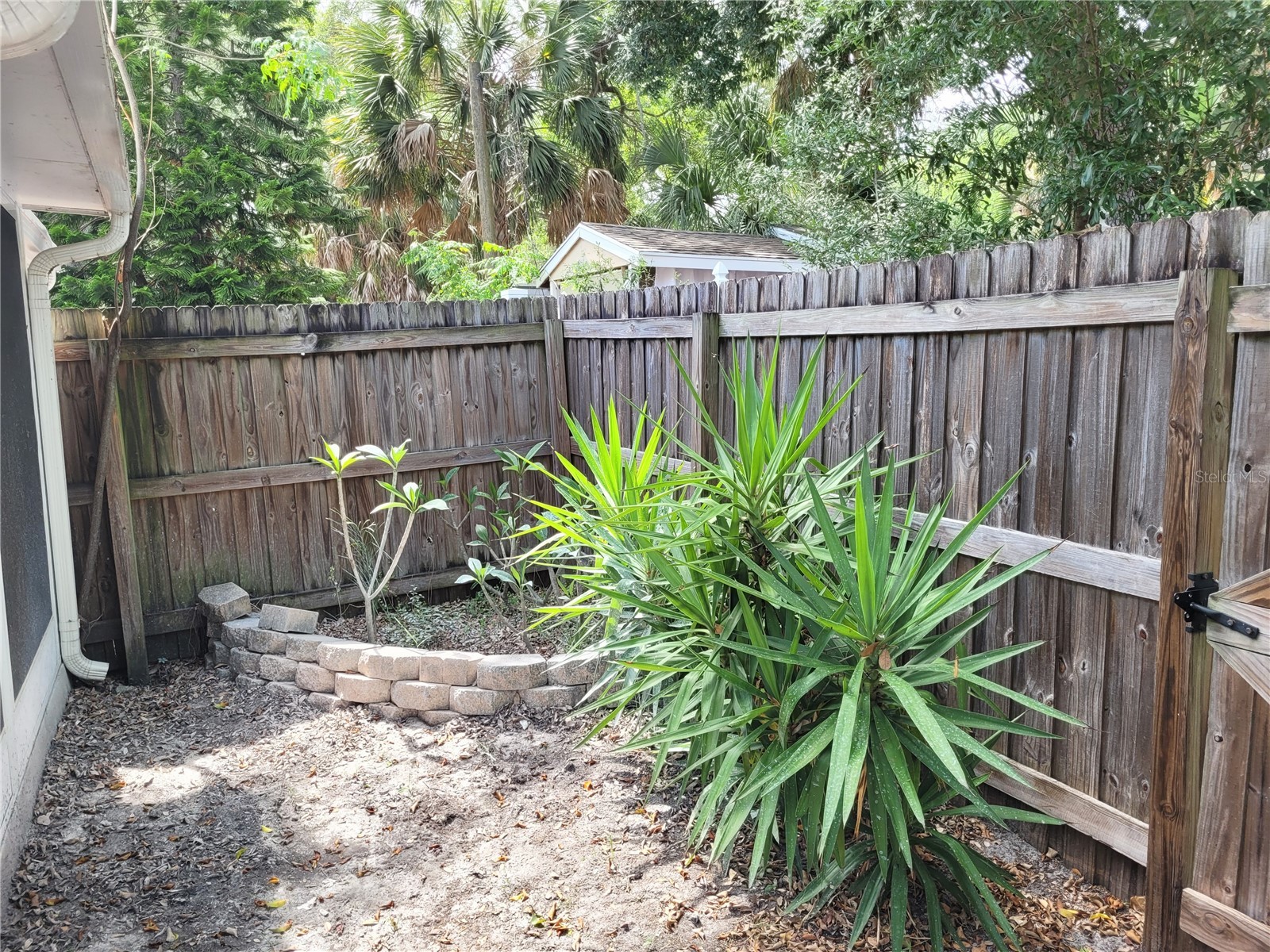 349 Plymouth Street Safety Harbor FL 34695 TB8507199 image25