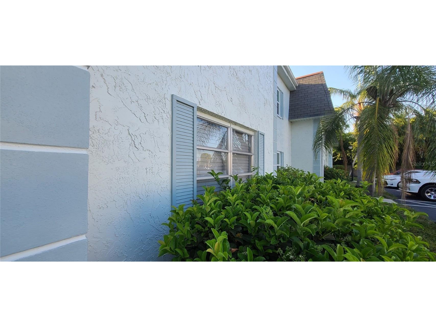 349 S Mcmullen Booth Road #127 Clearwater FL 33759 U8196065 image1