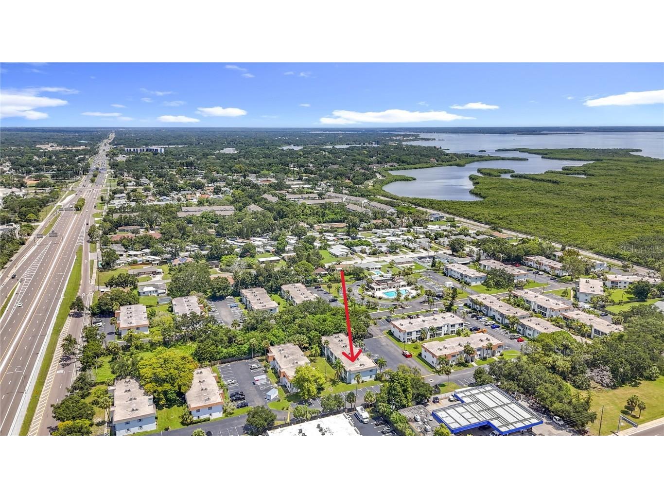 349 S Mcmullen Booth Road #128 Clearwater FL 33759 TB8416516 image21