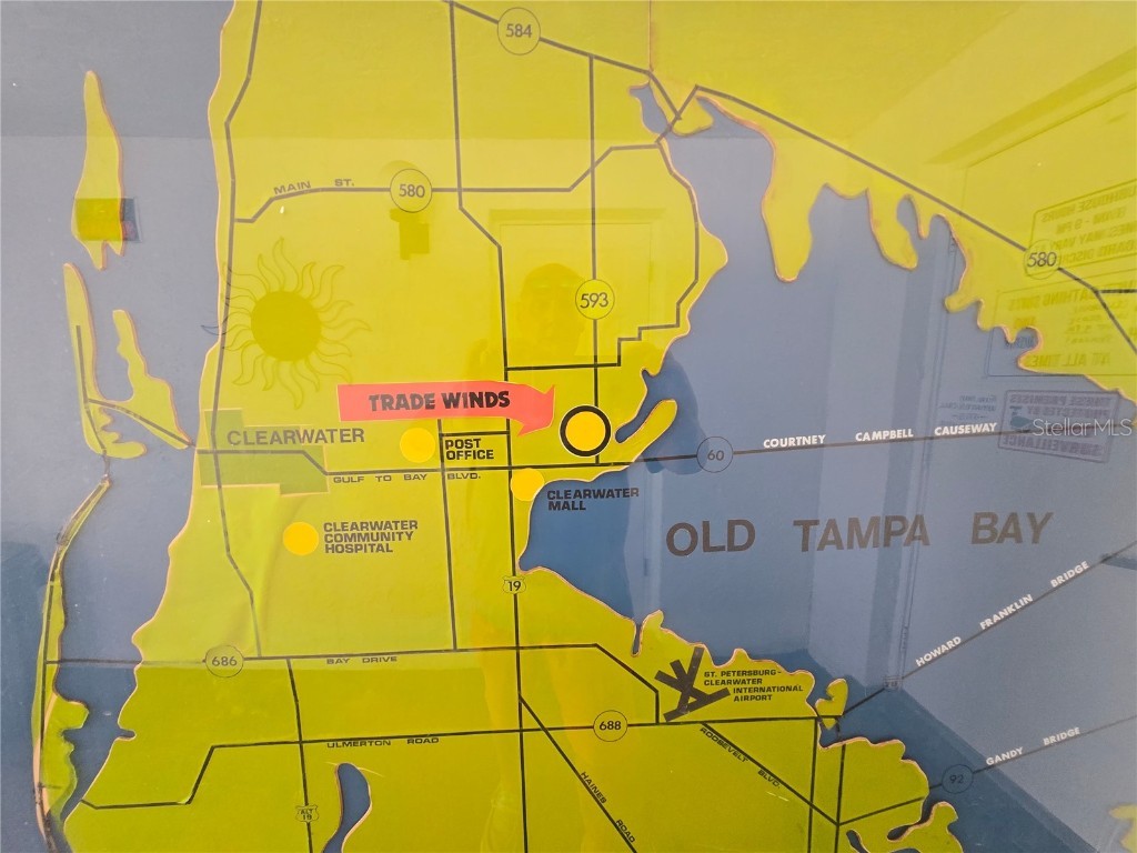 349 S Mcmullen Booth Road #128 Clearwater FL 33759 TB8416516 image24