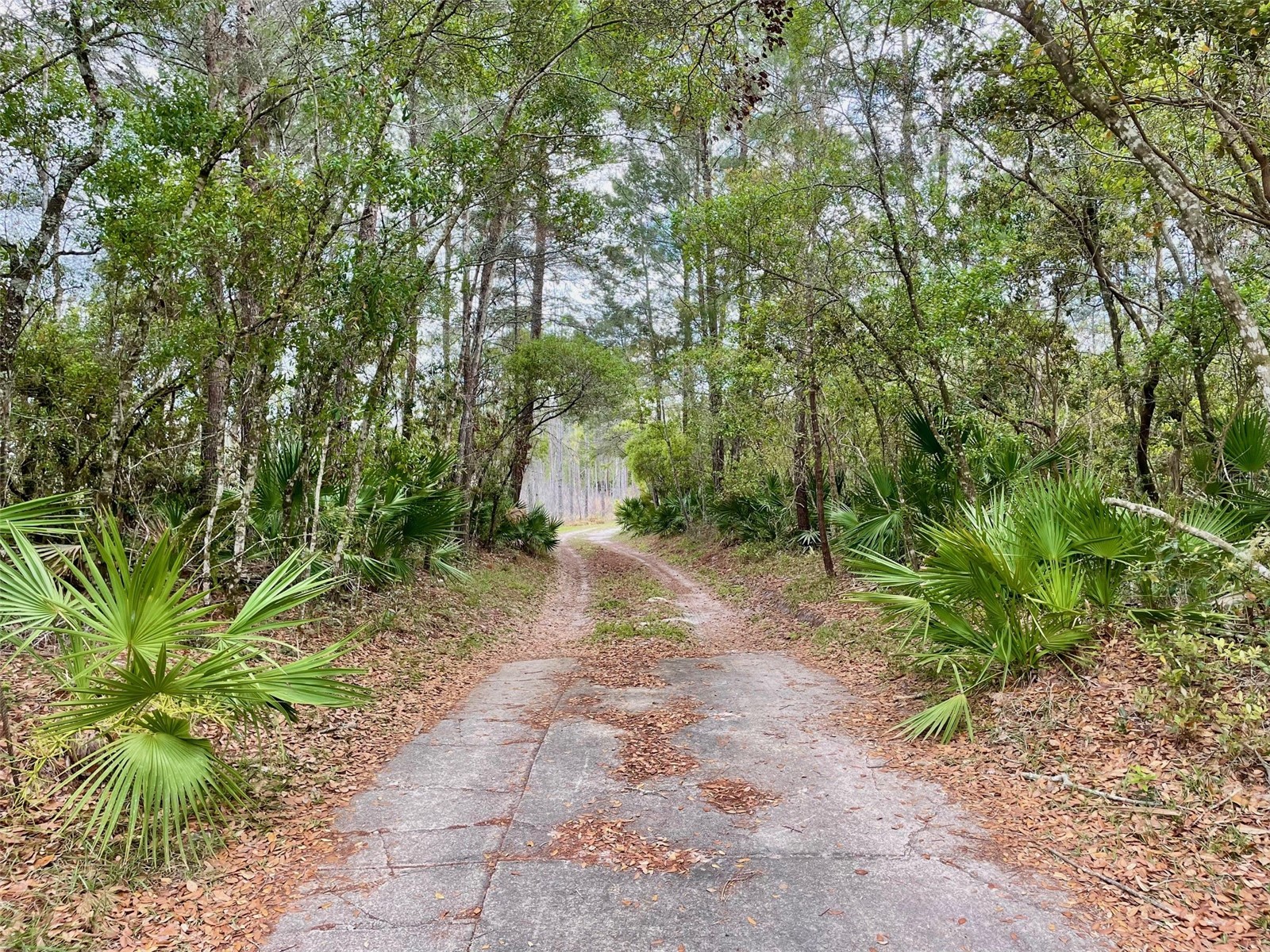 349 Seminole Woods Blvd Geneva FL 32732 O6394362 image3