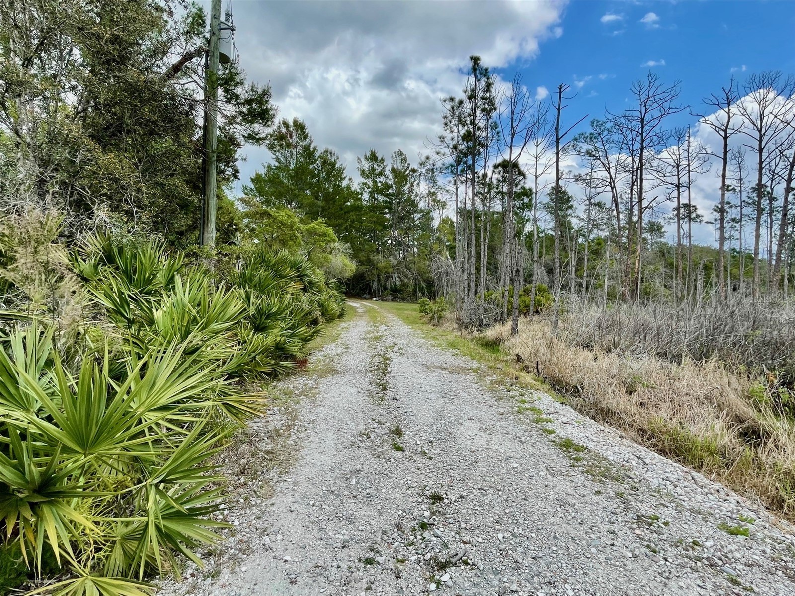 349 Seminole Woods Blvd Geneva FL 32732 O6394362 image39