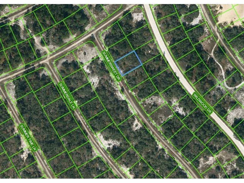 349 Summersweet Drive Lake Placid FL 33852 OM621716 image1