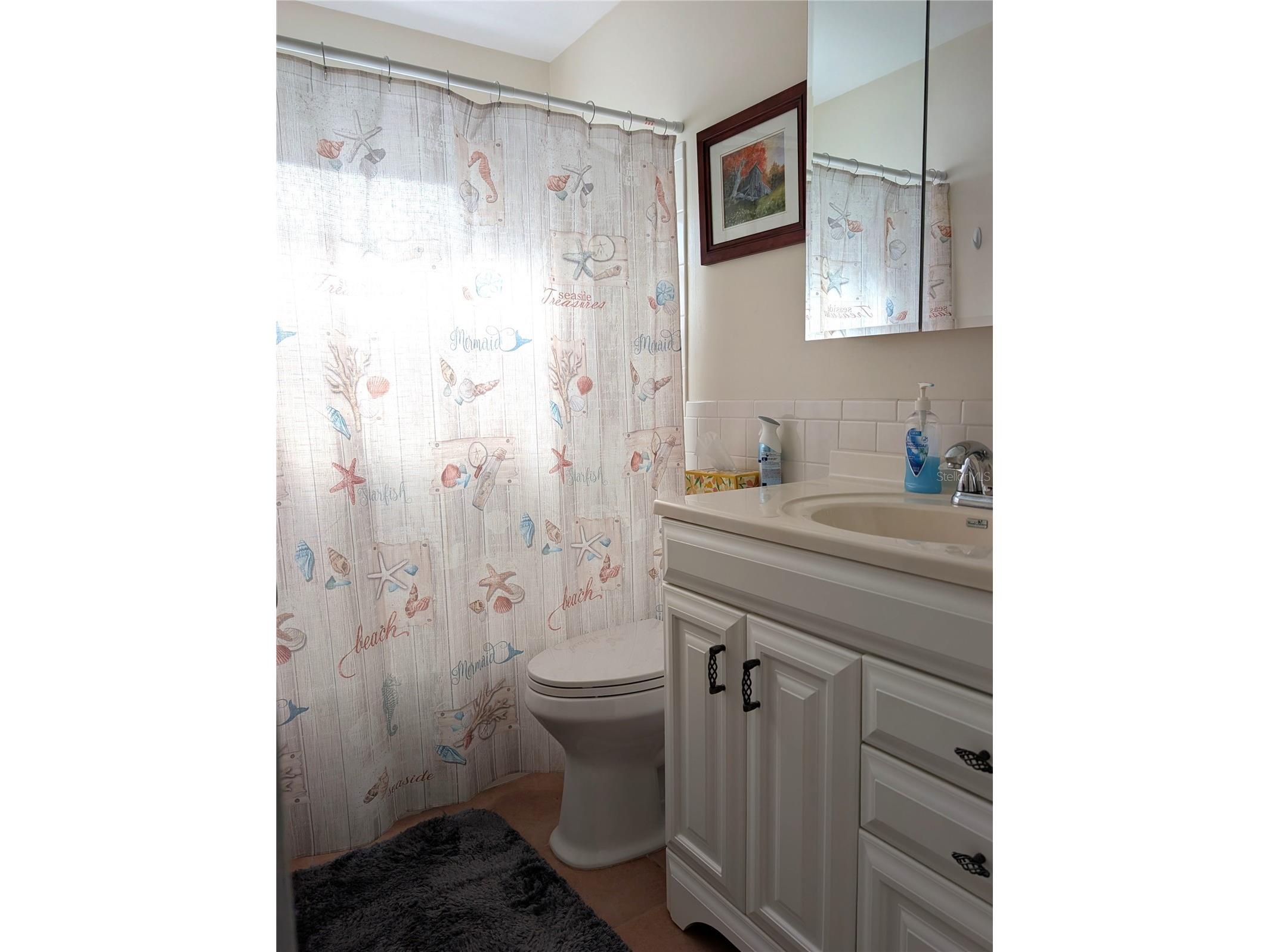 3490 101st Terrace N Pinellas Park FL 33782 TB8494090 image13
