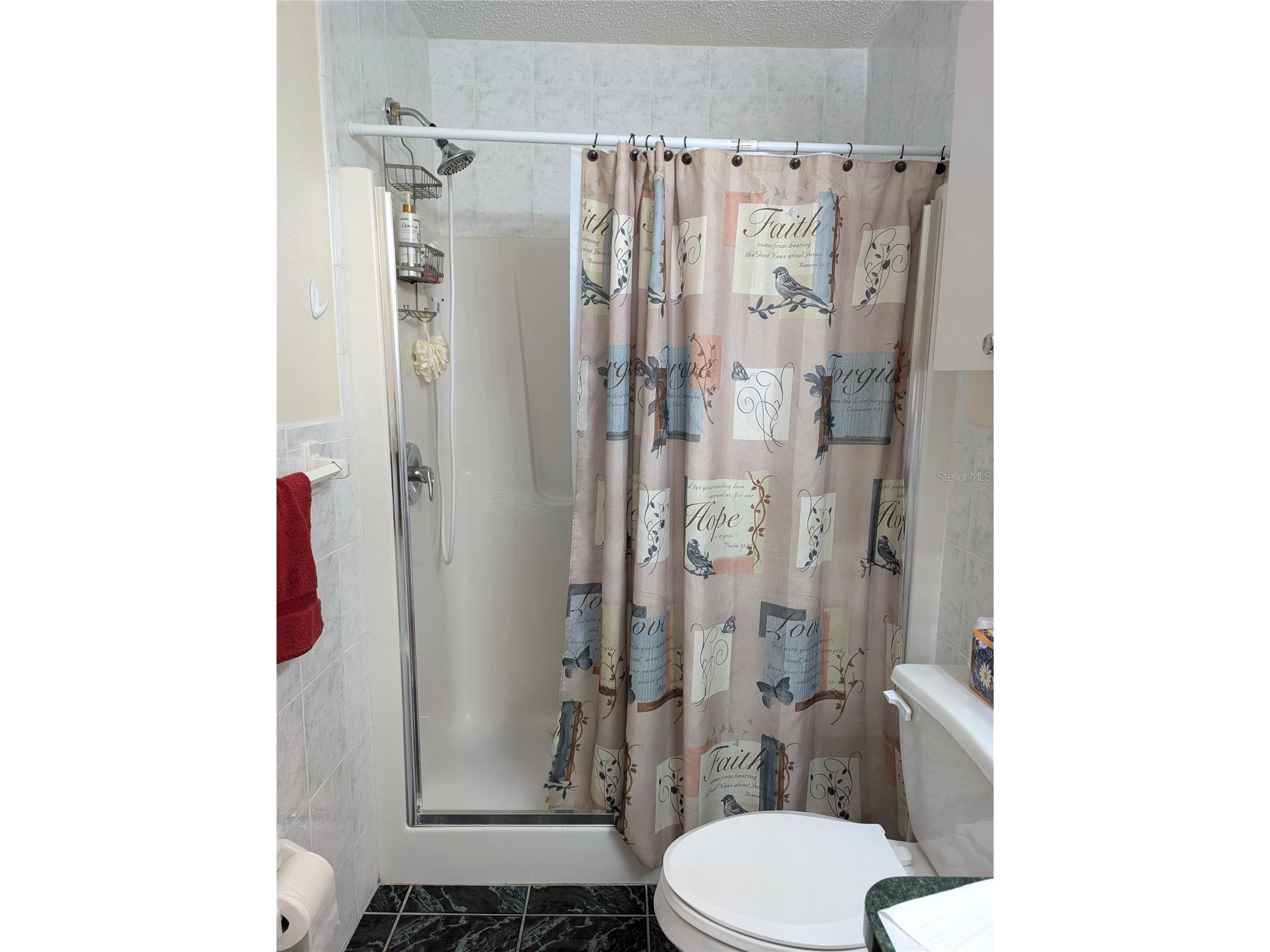 3490 101st Terrace N Pinellas Park FL 33782 TB8494090 image32