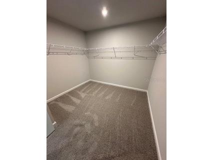 3490 Timber Crossing Avenue Brandon FL 33511 TB8501853 image23