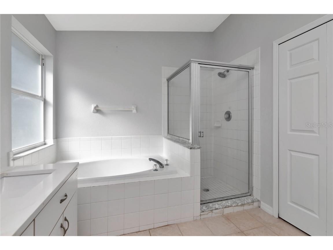 34902 Teeview Lane Zephyrhills FL 33541 TB8438476 image21