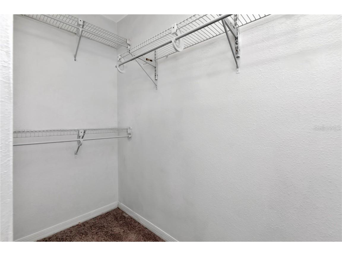 34902 Teeview Lane Zephyrhills FL 33541 TB8438476 image22