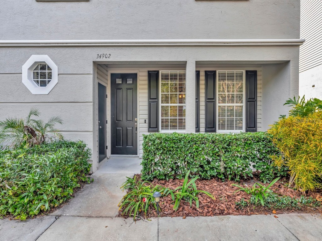 34902 Teeview Lane Zephyrhills FL 33541 TB8438476 image7