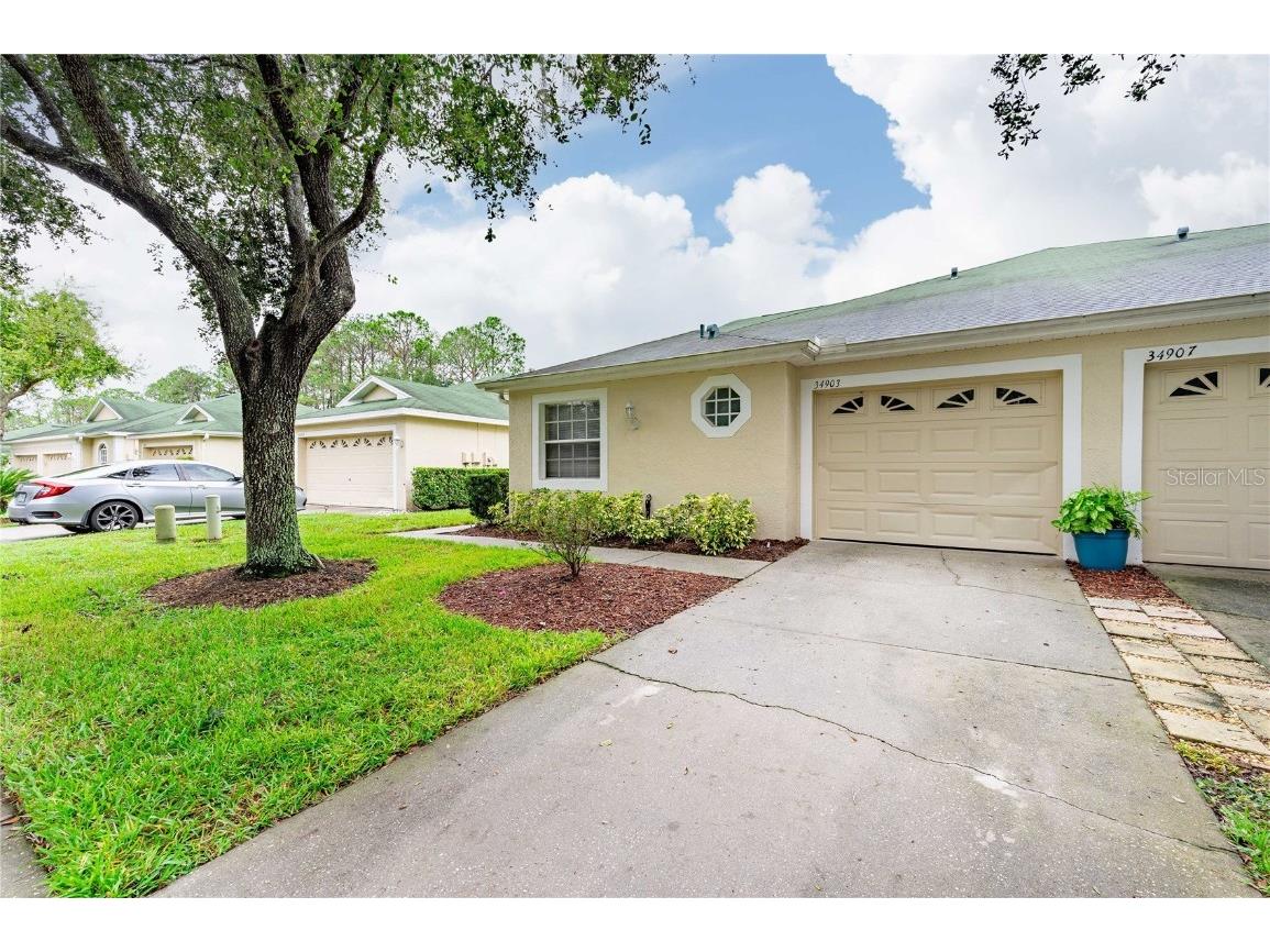 34903 Double Eagle Court Zephyrhills FL 33541 A4602125 image1