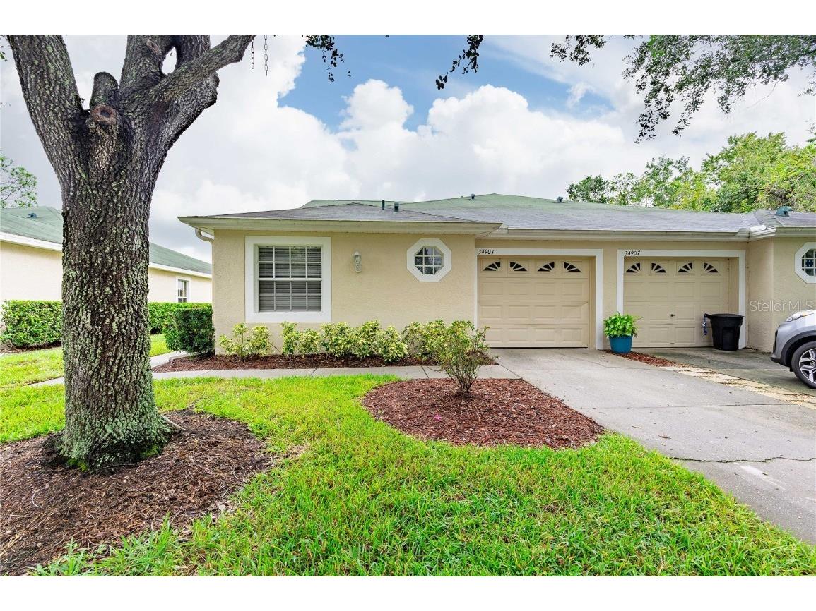 34903 Double Eagle Court Zephyrhills FL 33541 T3480257 image1