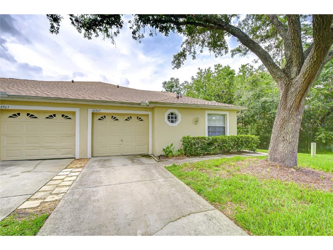 34907 Double Eagle Court Zephyrhills FL 33541 TB8361924 image38