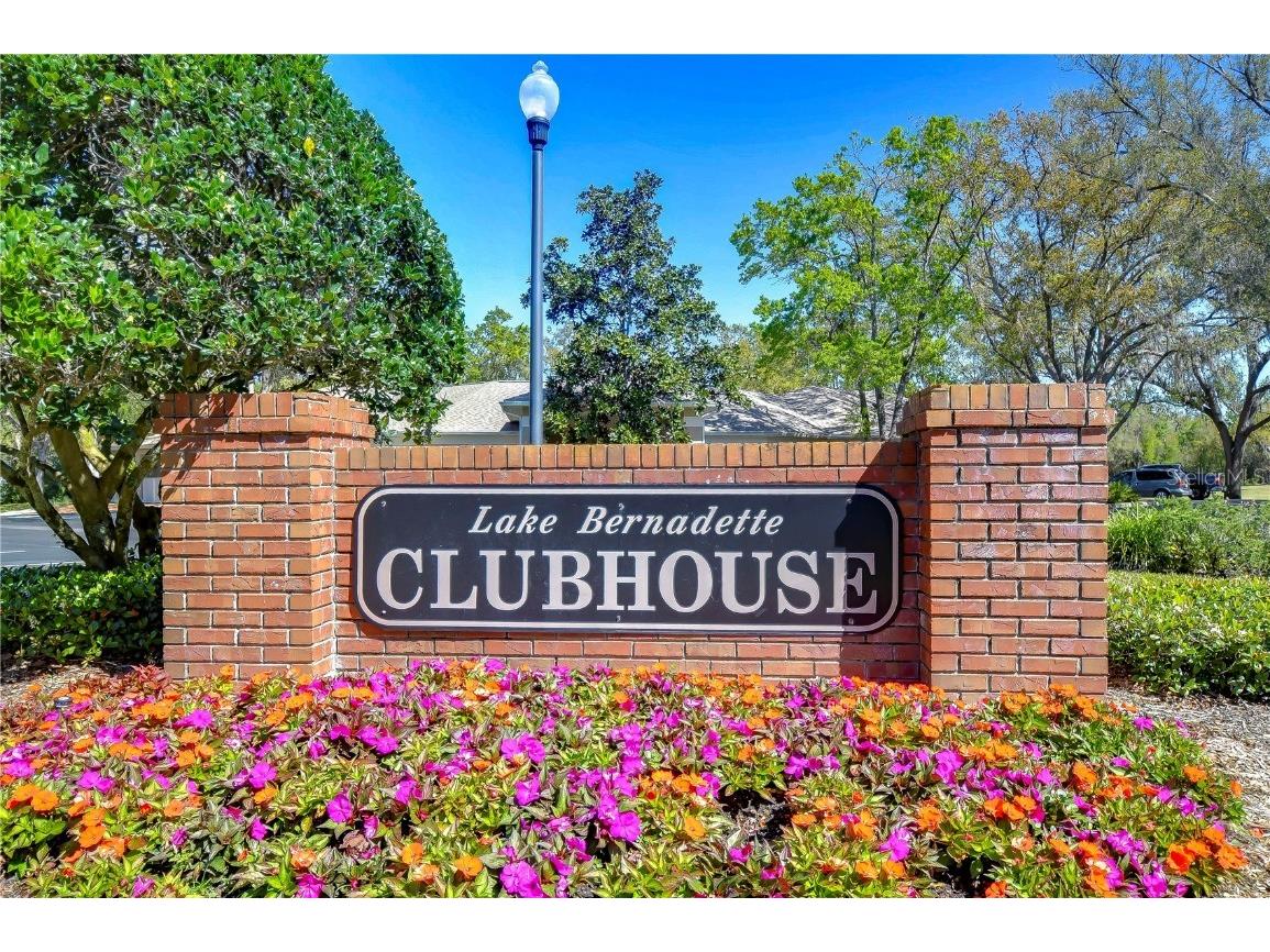 34907 Double Eagle Court Zephyrhills FL 33541 TB8361924 image39