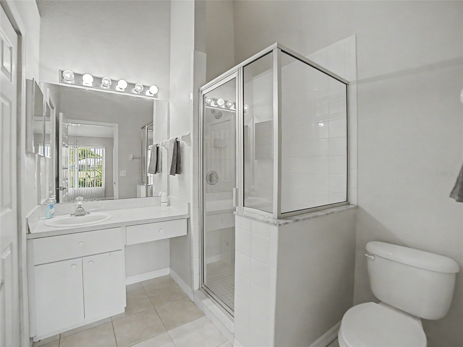 34907 Double Eagle Court Zephyrhills FL 33541 TB8521845 image19