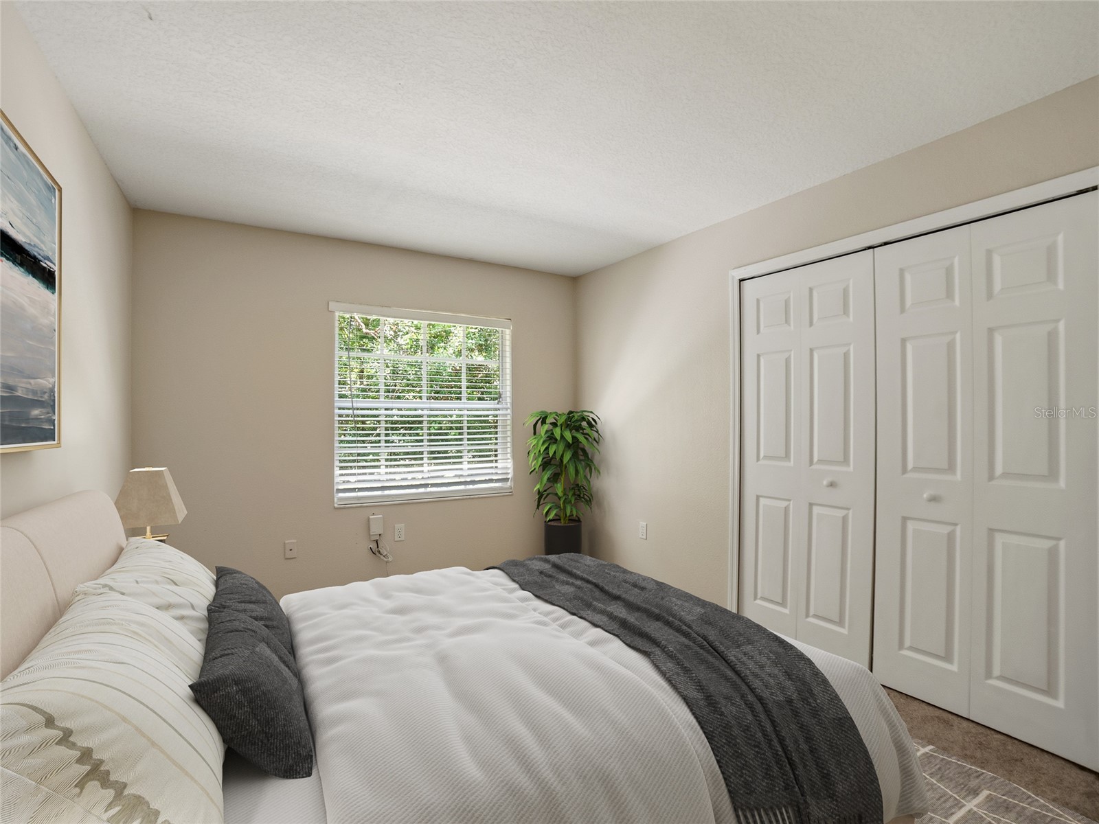 34907 Double Eagle Court Zephyrhills FL 33541 TB8521845 image22