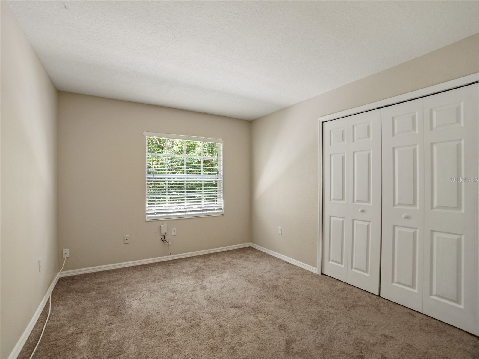 34907 Double Eagle Court Zephyrhills FL 33541 TB8521845 image23