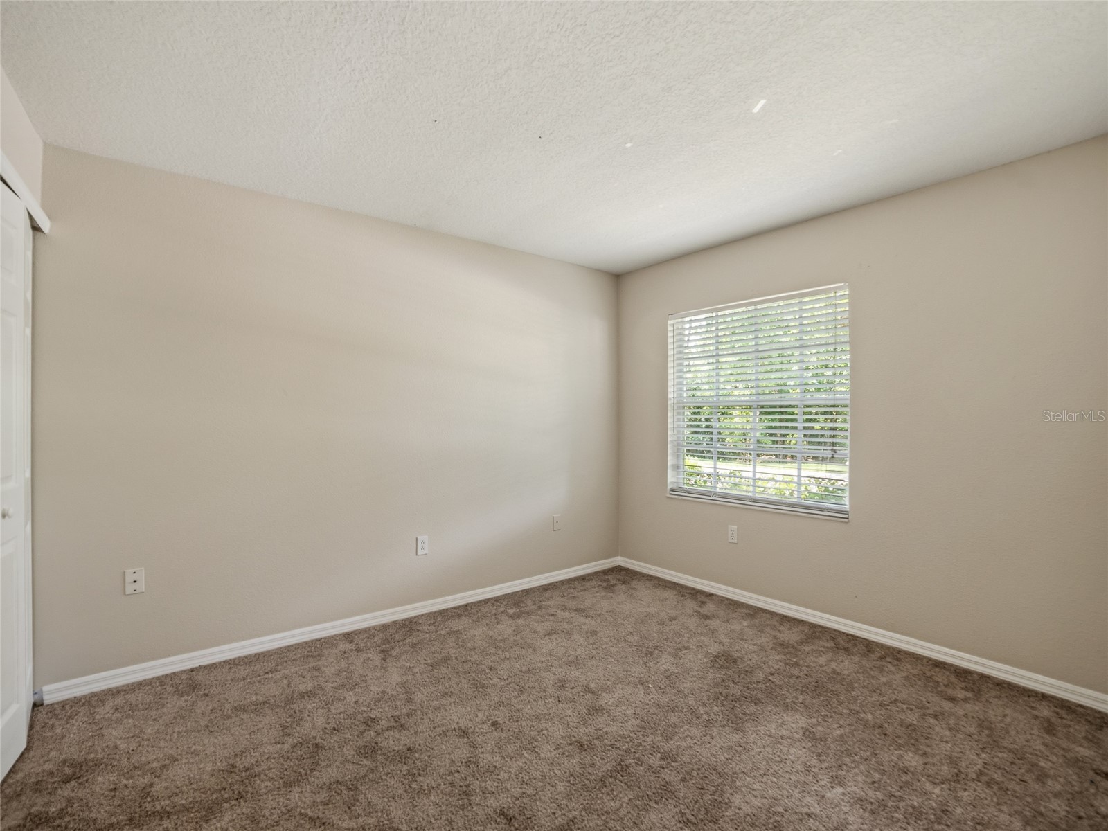 34907 Double Eagle Court Zephyrhills FL 33541 TB8521845 image25