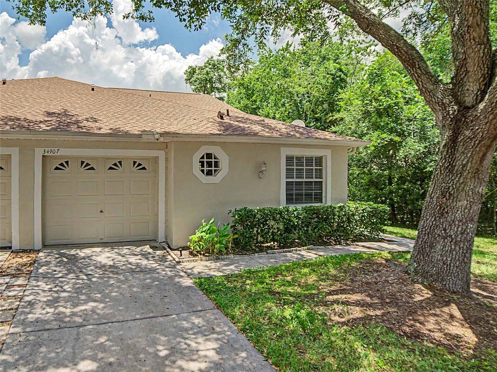 34907 Double Eagle Court Zephyrhills FL 33541 TB8521845 image3