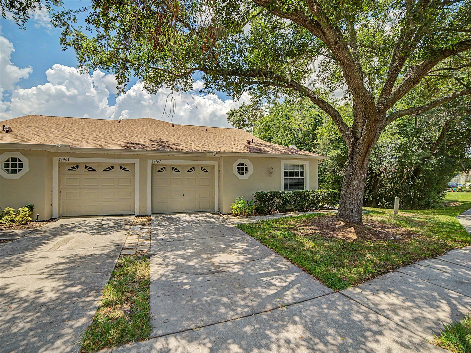 34907 Double Eagle Court Zephyrhills FL 33541 TB8521845 image4