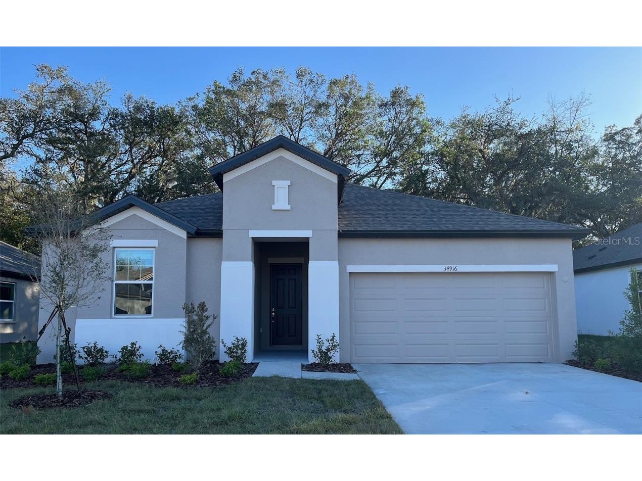 34916 Mulrion Drive Zephyrhills FL 33541 T3535819 image1