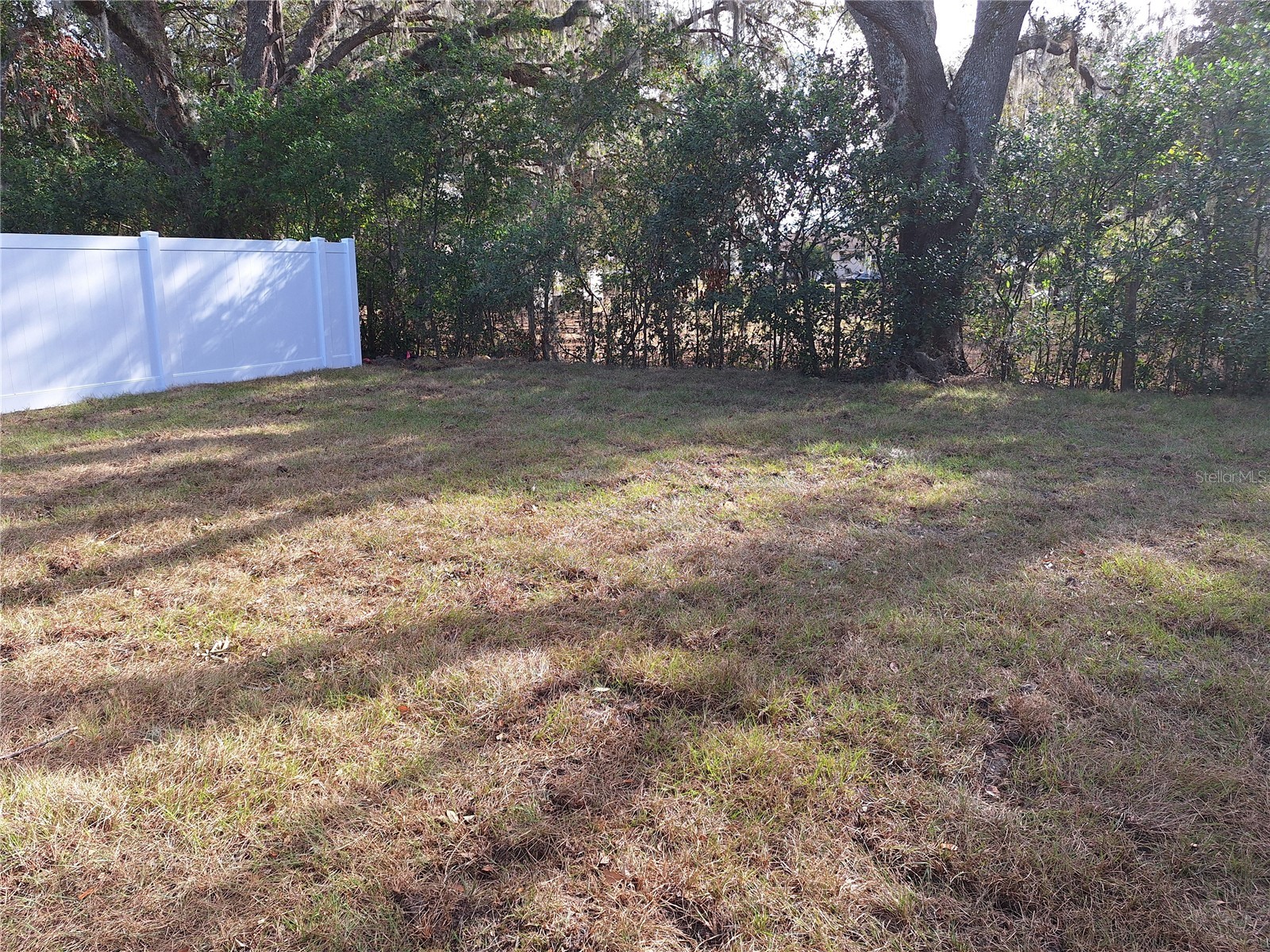 34916 Mulrion Drive Zephyrhills FL 33541 TB8526689 image6