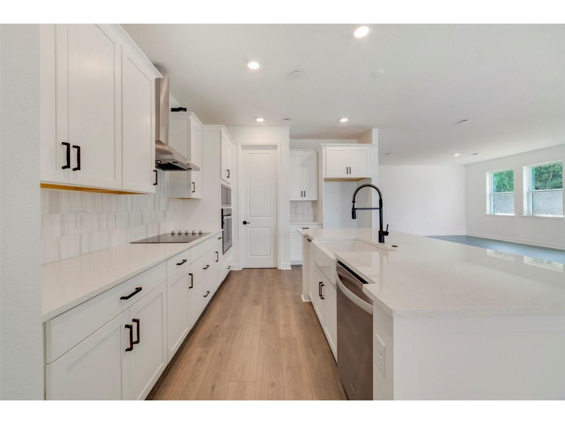 3492 Lemon Button Terrace Apopka FL 32712 O6321663 image2