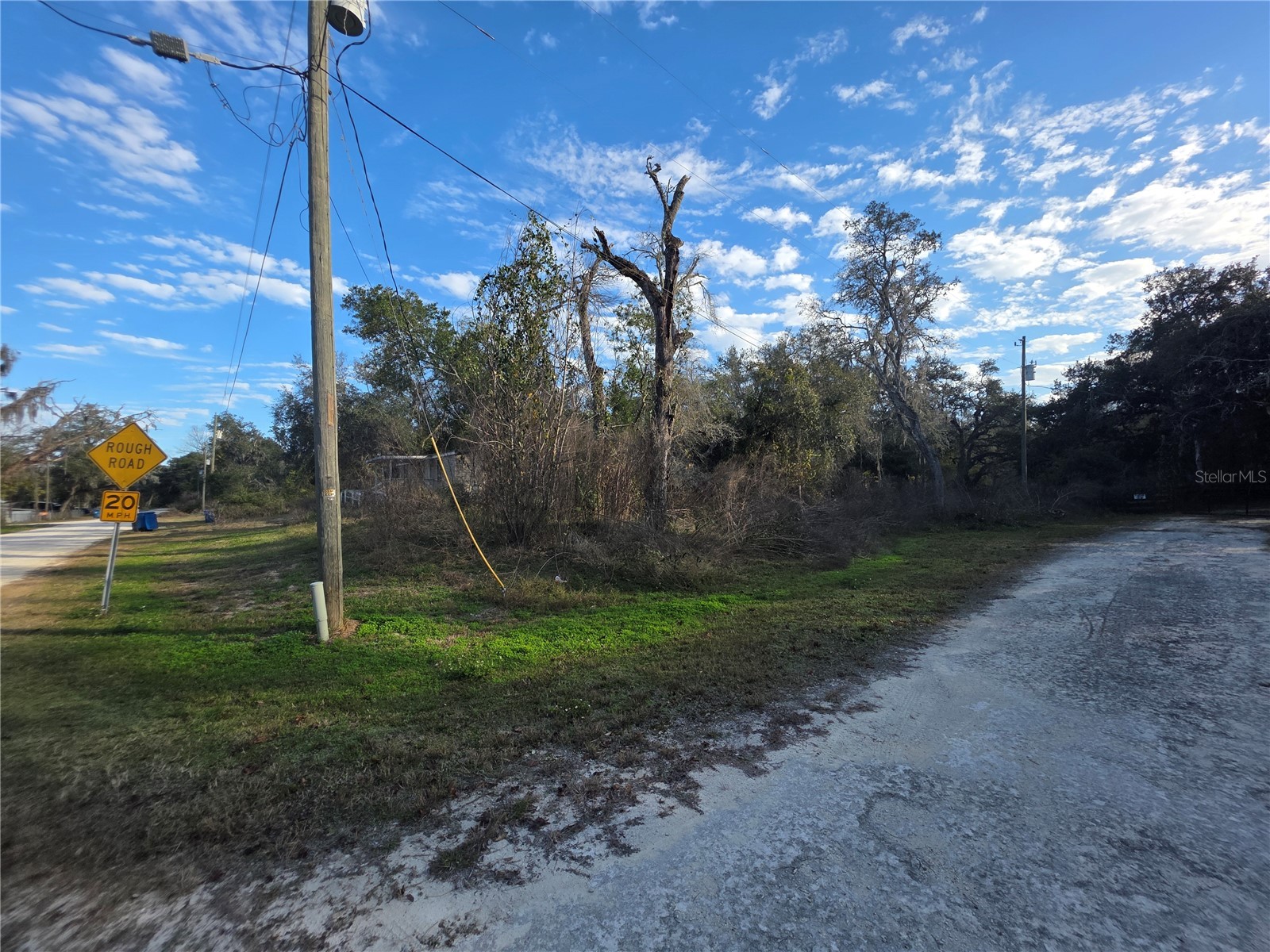 34924 Talisman Street Dade City FL 33523 TB8472875 image11