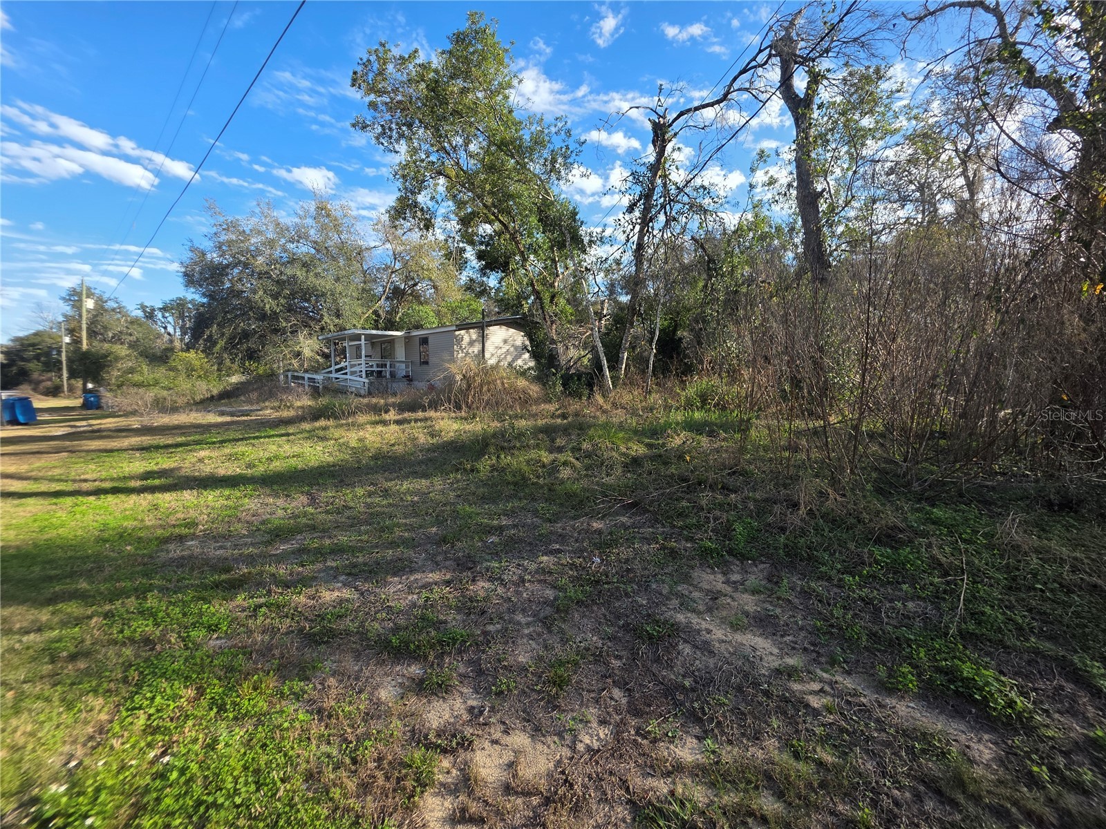34924 Talisman Street Dade City FL 33523 TB8472875 image12