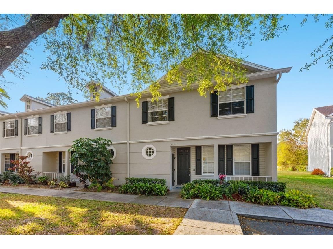 34924 Teeview Lane Zephyrhills FL 33541 T3430488 image1