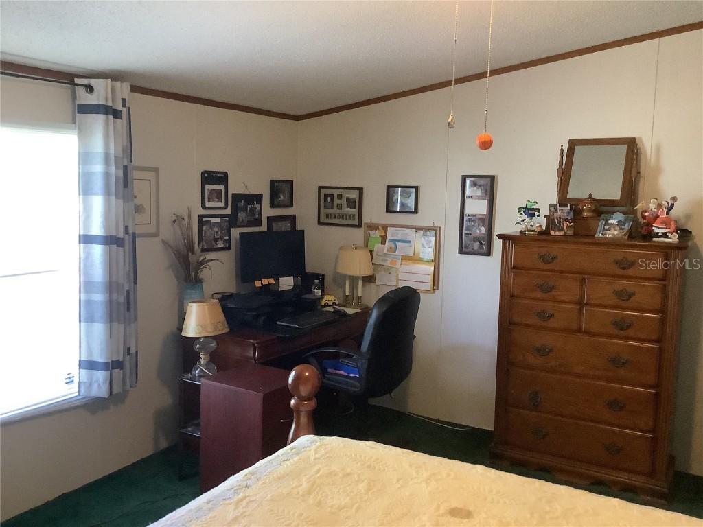 34926 Punch Road Dade City FL 33523 TB8441896 image71