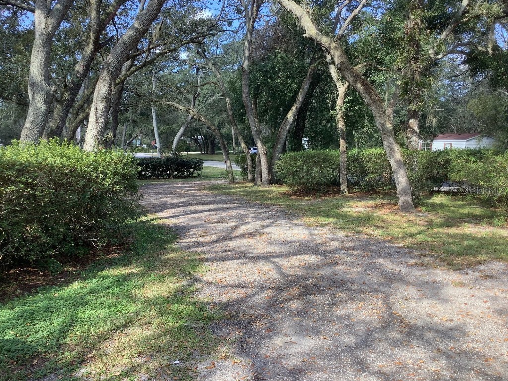 34926 Punch Road Dade City FL 33523 TB8441896 image9