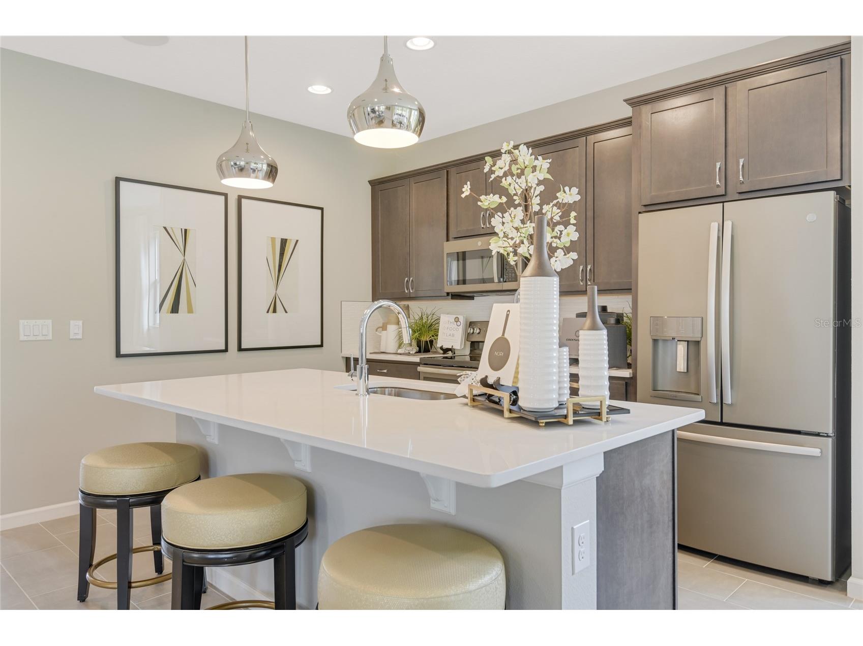 3493 Macchi Avenue Tavares FL 32778 S5144282 image6