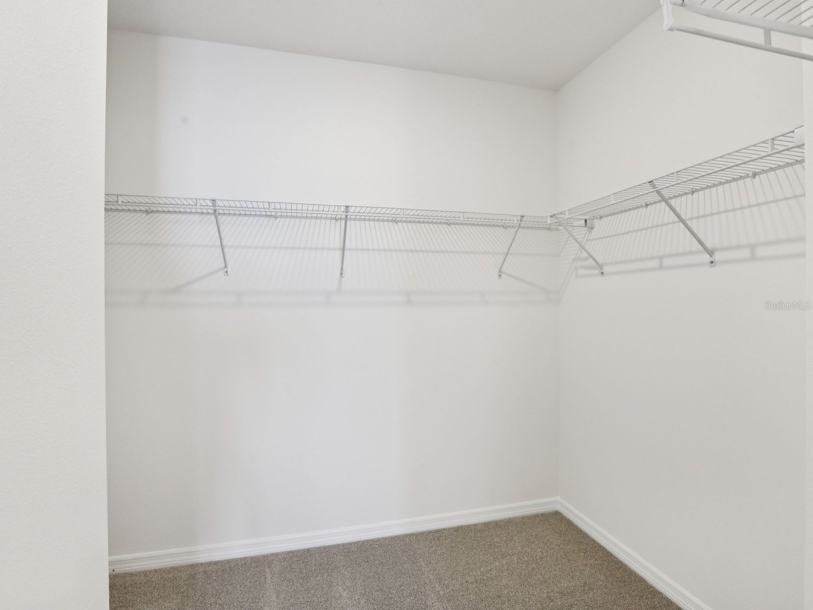 3493 Moscato Drive Brooksville FL 34602 O6372023 image18