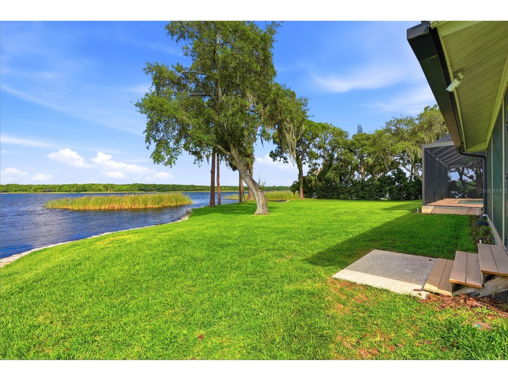 3493 Shoreline Circle Palm Harbor FL 34684 - LAKE TARPON TB8511432 image51