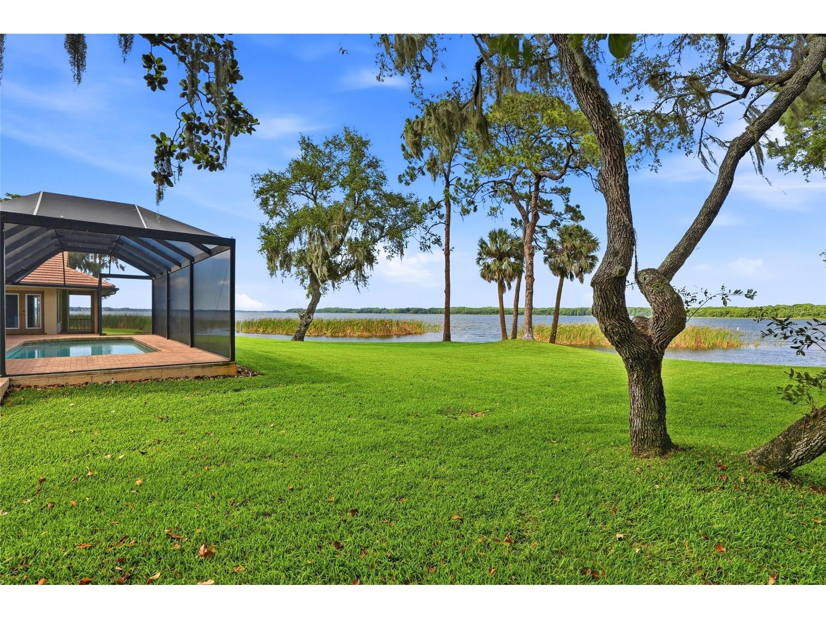 3493 Shoreline Circle Palm Harbor FL 34684 - LAKE TARPON TB8511432 image53