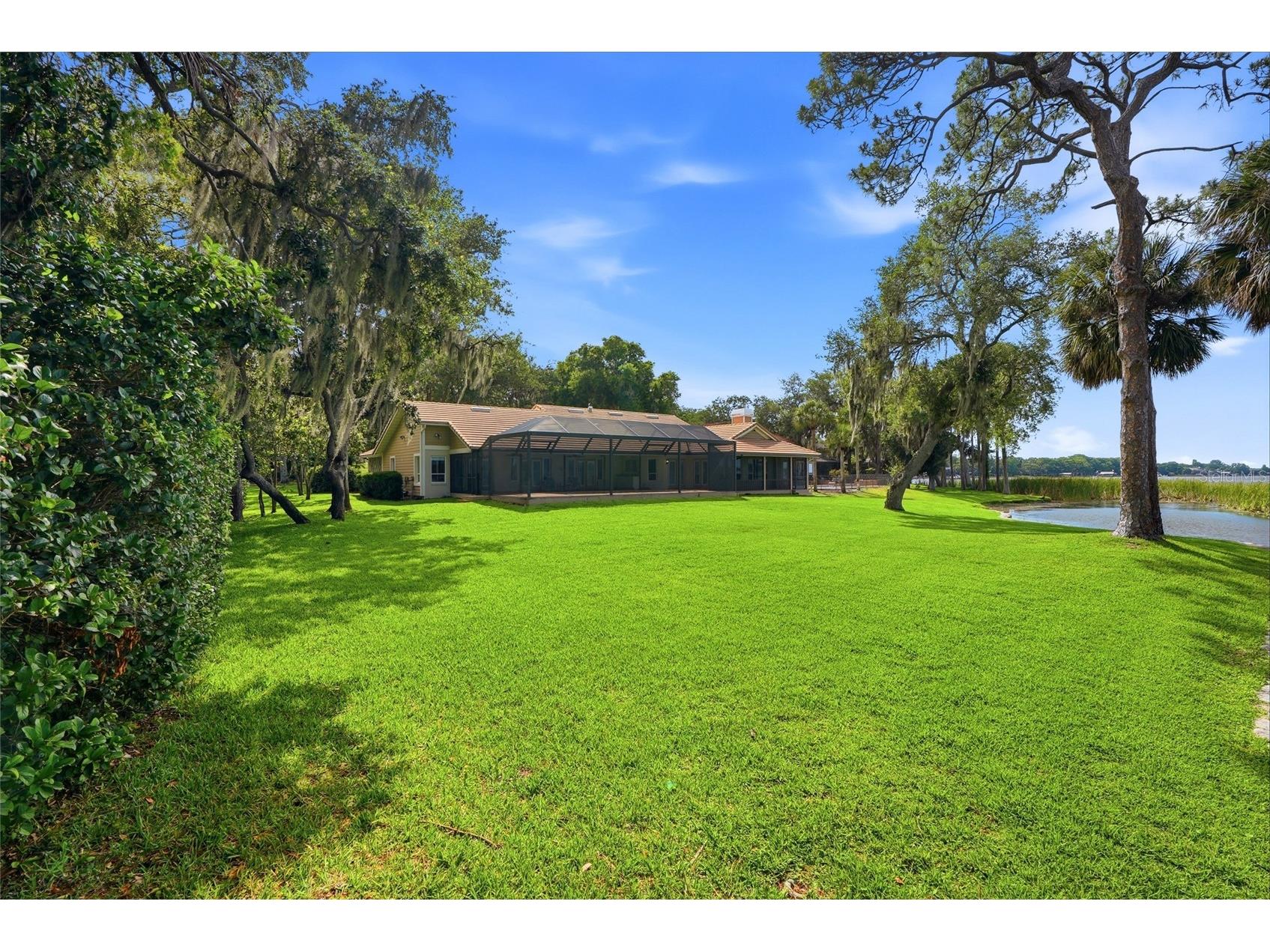3493 Shoreline Circle Palm Harbor FL 34684 - LAKE TARPON TB8511432 image56
