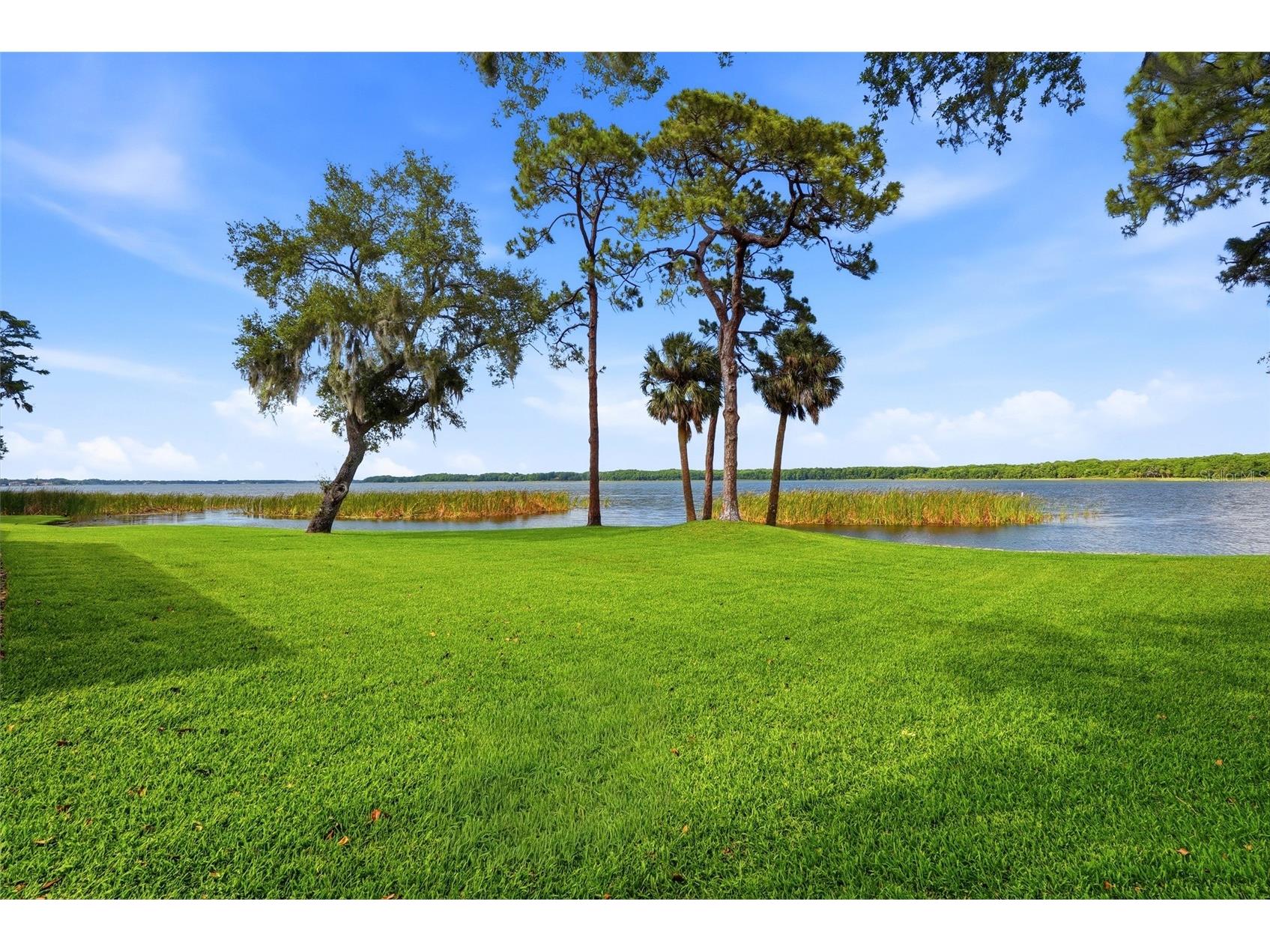 3493 Shoreline Circle Palm Harbor FL 34684 - LAKE TARPON TB8511432 image57