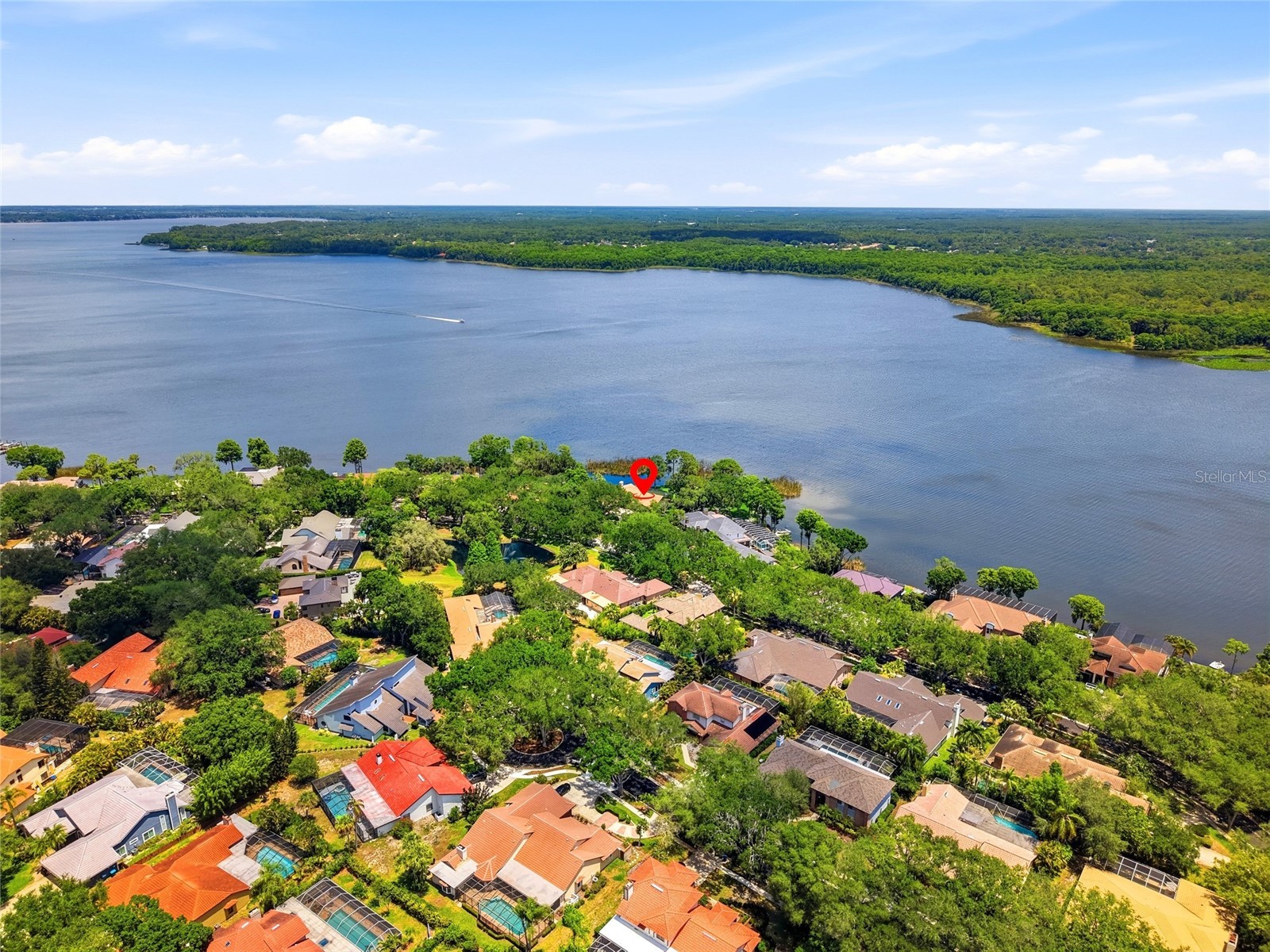 3493 Shoreline Circle Palm Harbor FL 34684 - LAKE TARPON TB8511432 image60