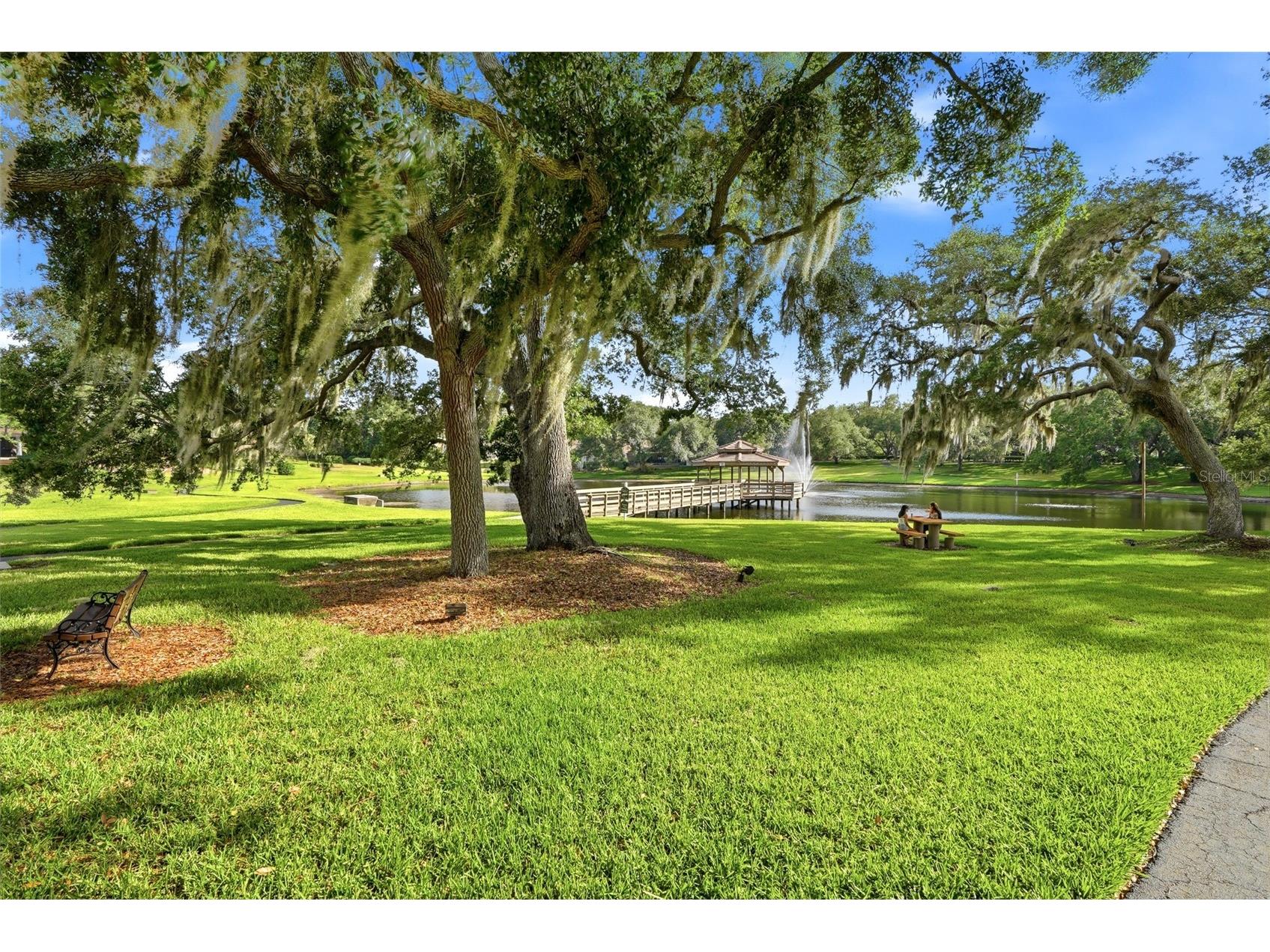 3493 Shoreline Circle Palm Harbor FL 34684 - LAKE TARPON TB8511432 image64